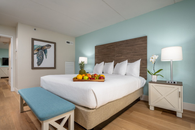 Newly Renovated Oceanview Suite King